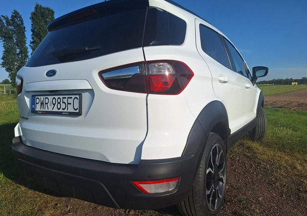 Ford EcoSport cena 72500 przebieg: 53150, rok produkcji 2020 z Września małe 631